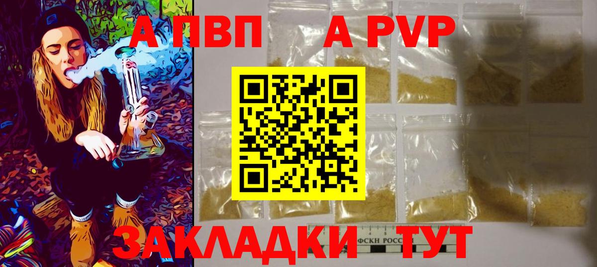 A PVP СК КРИС Волхов