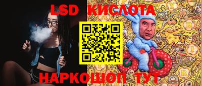 индика Кандалакша