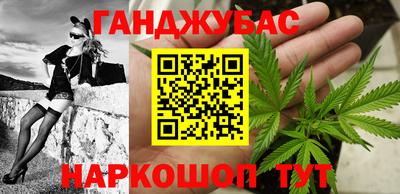 молекула духа Камышлов