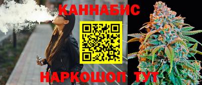 индика Кандалакша