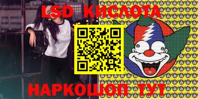 индика Кандалакша
