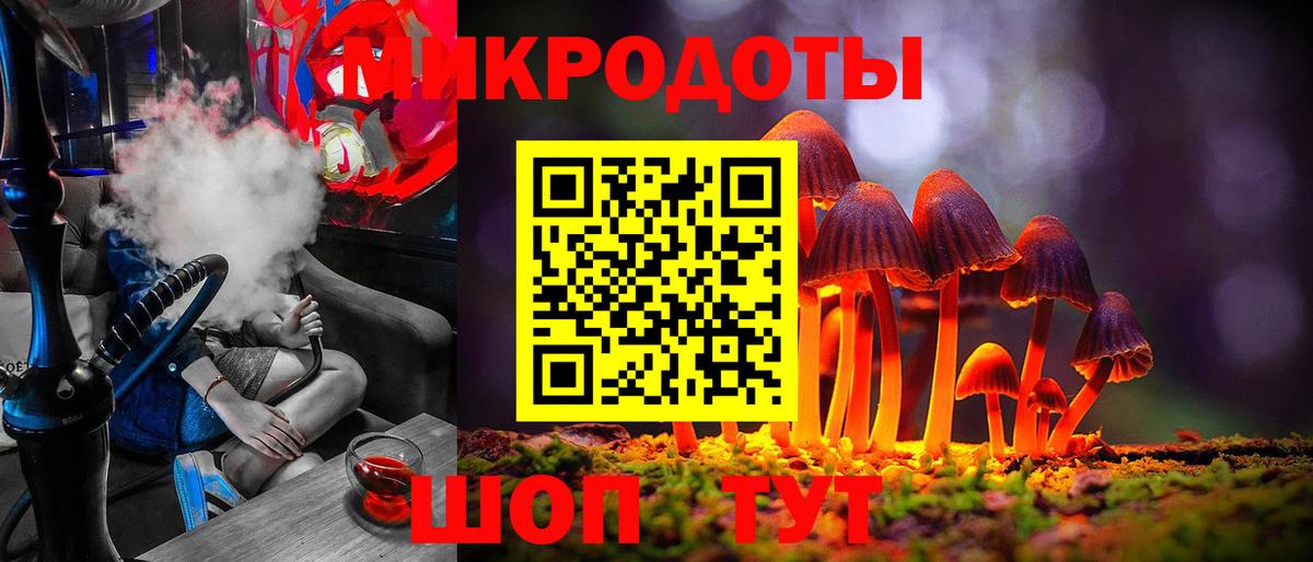 Псилоцибиновые грибы мицелий Волхов