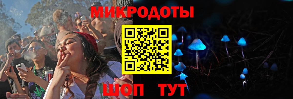Галлюциногенные грибы Psilocybine cubensis  Вход с VPN  Волхов 