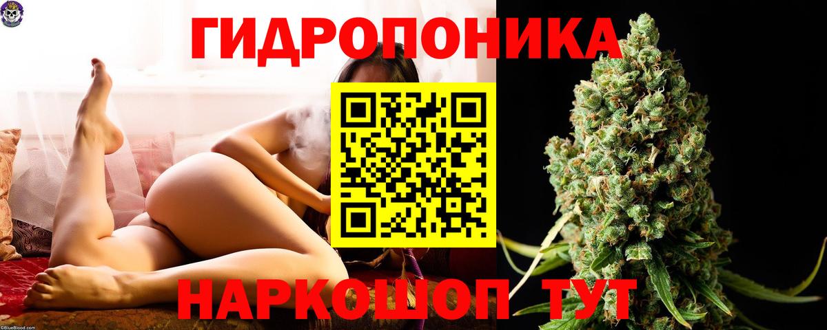Марихуана White Widow  Вход с VPN  Волхов  Конопля White Widow  Бошки марихуана сатива 